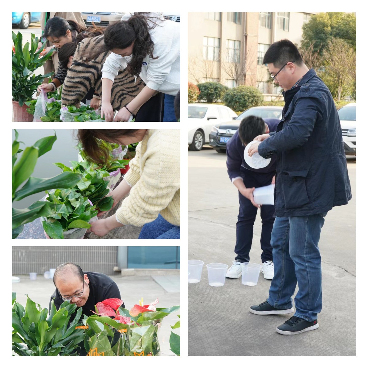 2022植樹(shù)節(jié)美化泰通家園行動(dòng)